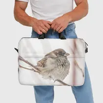 Зимний воробей