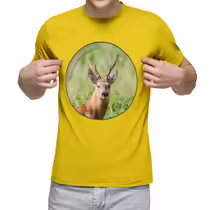 Сибирская косуля