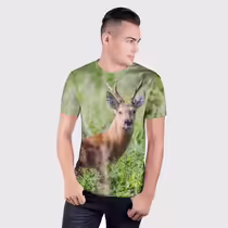 Сибирская косуля