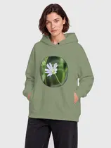 Звездчатка ланцетолистная