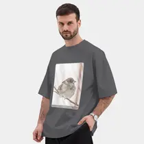 Зимний воробей