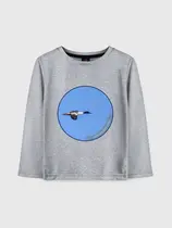 Большой крохаль