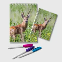 Сибирская косуля