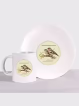 Зяблик (Fringilla coelebs)