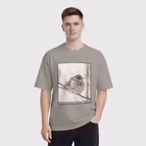 Зимний воробей