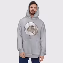 Зимний воробей