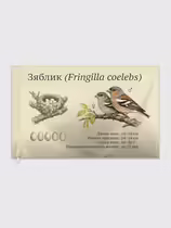 Зяблик (Fringilla coelebs)