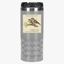 Зяблик (Fringilla coelebs)