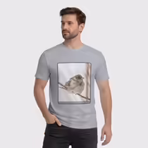Зимний воробей