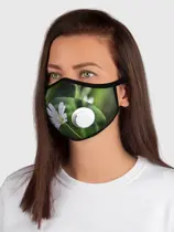 Звездчатка ланцетолистная