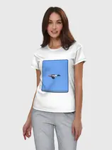Большой крохаль
