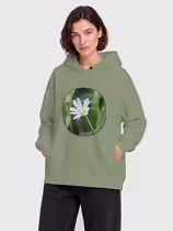 Звездчатка ланцетолистная