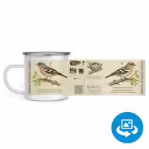Зяблик (Fringilla coelebs)