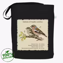 Зяблик (Fringilla coelebs)