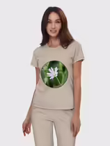 Звездчатка ланцетолистная