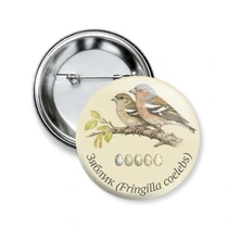 Зяблик (Fringilla coelebs)