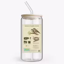Зяблик (Fringilla coelebs)