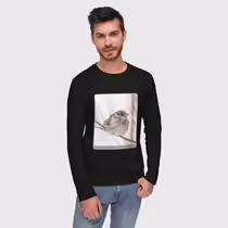 Зимний воробей