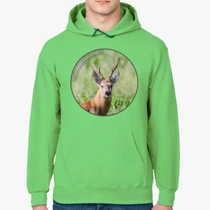 Сибирская косуля