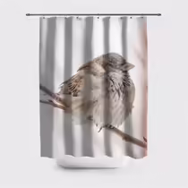 Зимний воробей