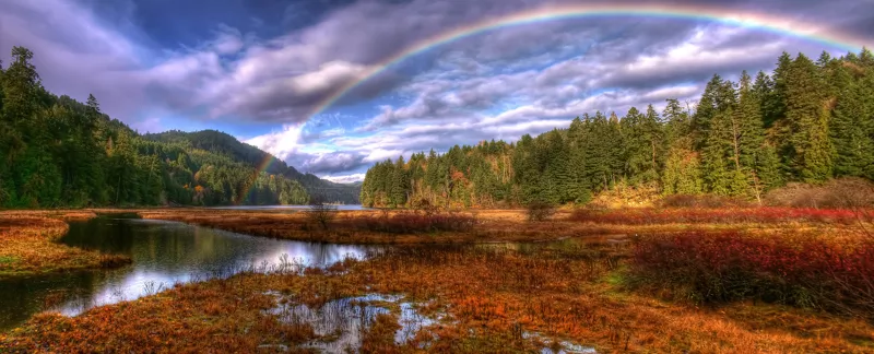 Картинка взята с [WikiMedia Commons](https://commons.wikimedia.org/wiki/File:Goldstream_Provincial_Park_HDR_rainbow_panorama.jpg)