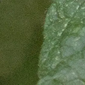 ISO3200, std denoise profiled ISO3200, std denoise profiled