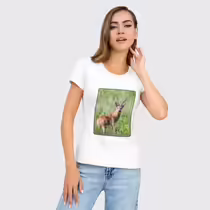 Сибирская косуля