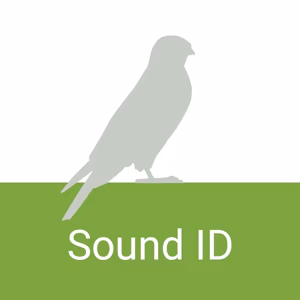 Скриншот главного экрана Merlin Bird ID