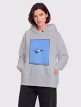 Большой крохаль