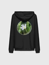 Звездчатка ланцетолистная