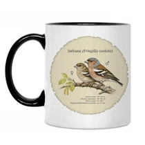 Зяблик (Fringilla coelebs)