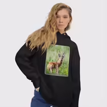 Сибирская косуля