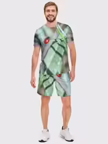 Листоед гладкий