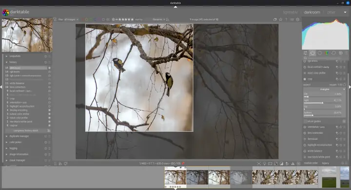 darktable в режиме кадрирования