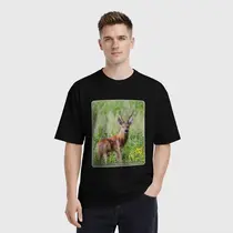 Сибирская косуля
