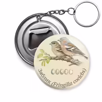 Зяблик (Fringilla coelebs)