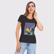 Махаон на одуванчике