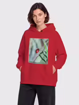 Листоед гладкий