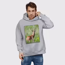Сибирская косуля