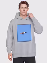 Большой крохаль