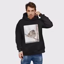 Зимний воробей