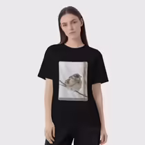 Зимний воробей