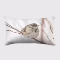 Зимний воробей