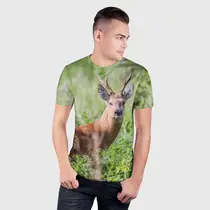 Сибирская косуля
