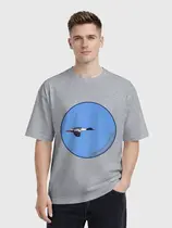 Большой крохаль