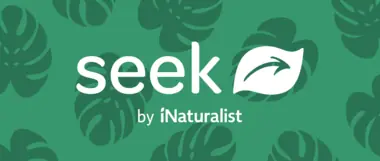 Логотип Seek