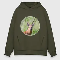 Сибирская косуля