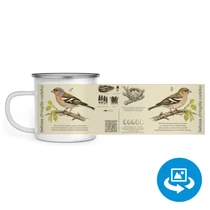 Зяблик (Fringilla coelebs)