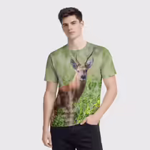 Сибирская косуля