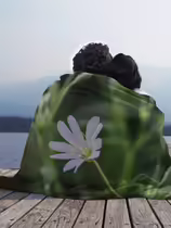 Звездчатка ланцетолистная